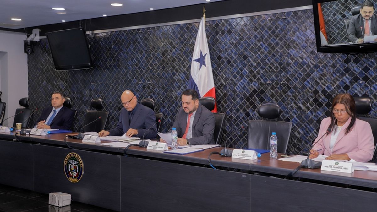 Los diputados de la Comisión de Comercio de la Asamblea Nacional. Los diputados de la Comisión de Comercio de la Asamblea Nacional.