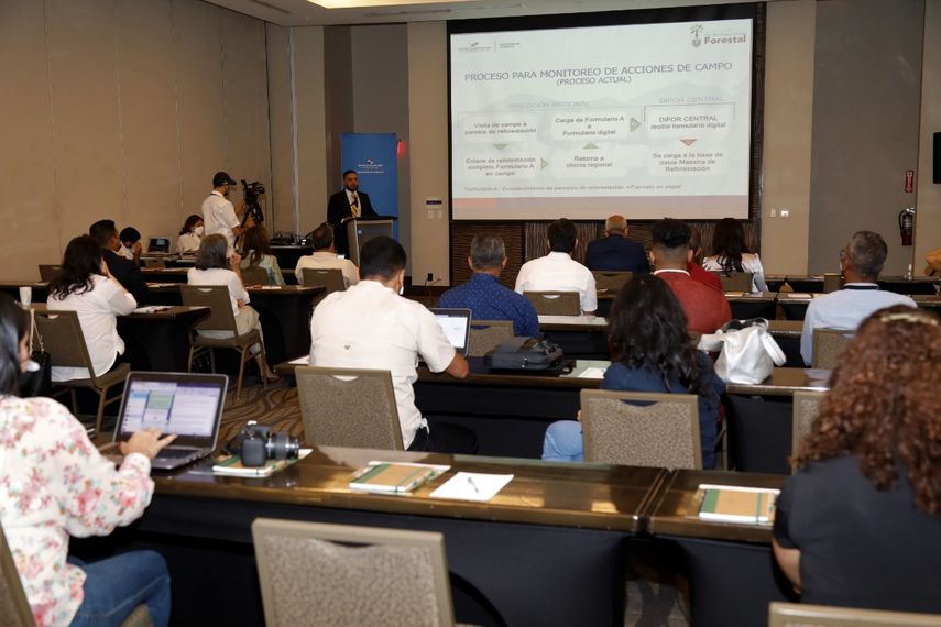 Panamá lanza aplicación que demostrará restauración forestal