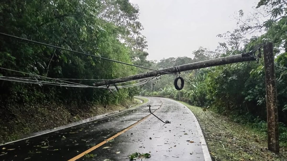 Vías han quedado obstaculizadas por los postes y árboles caídos en Colón. Vías han quedado obstaculizadas por los postes y árboles caídos en Colón.