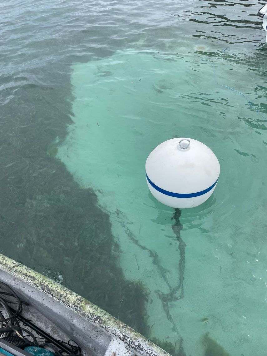 Guardaparques instalan boyas en Parque Marino Isla Bastimentos para protección de arrecifes