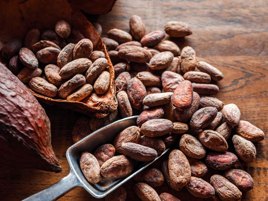 Panamá impulsa el cambio económico: microcréditos transforman el sector del cacao. Panamá impulsa el cambio económico: microcréditos transforman el sector del cacao.