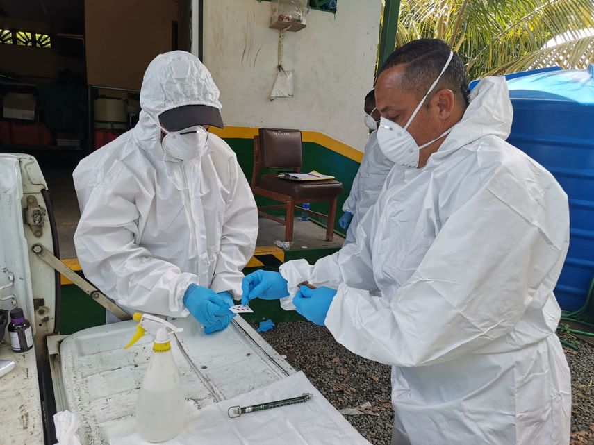 Minsa mantiene otro caso de hantavirus bajo observación y pide reforzar la prevención