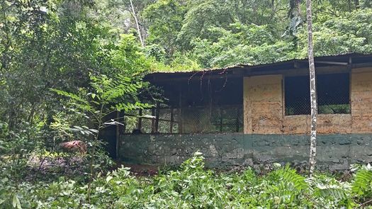 MiAmbiente inicia adecuaciones en el Parque Nacional Darién