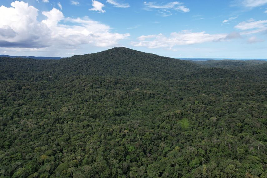 Panamá será sede de Congreso Regional de Restauración Forestal y Biodiversidad