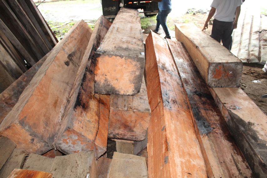 MiAmbiente suspende aprovechamiento de madera de bosques