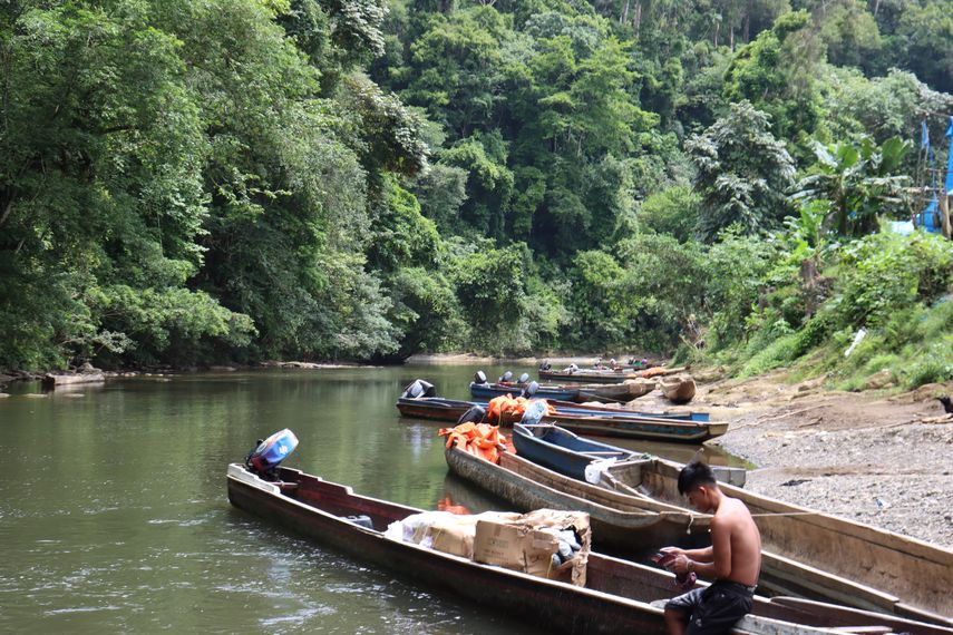 Unidades de las fuerzas especiales del Servicio Nacional de Fronteras (Senafront) neutralizaron a dos delincuentes que robaban a migrantes mientras cruzaban la densa selva del Darién, la frontera natural entre Panamá y Colombia, en su camino hacia Norteamérica. Unidades de las fuerzas especiales del Servicio Nacional de Fronteras (Senafront) neutralizaron a dos delincuentes que robaban a migrantes mientras cruzaban la densa selva del Darién, la frontera natural entre Panamá y Colombia, en su camino hacia Norteamérica.