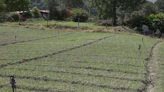 La actividad promovida por el MIDA tuvo un encuentro en Volcán donde productores, representantes de grupos ambientalistas y personal técnico de las instituciones del sector agropecuario analizaron las consecuencias del cambio climático.