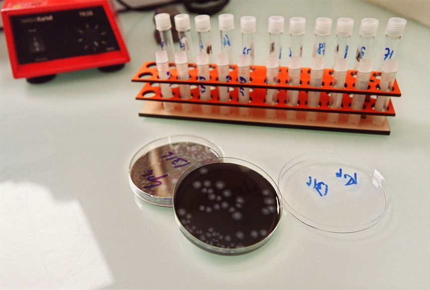 Argentina: quinta muerte por una bacteria que causa neumonía