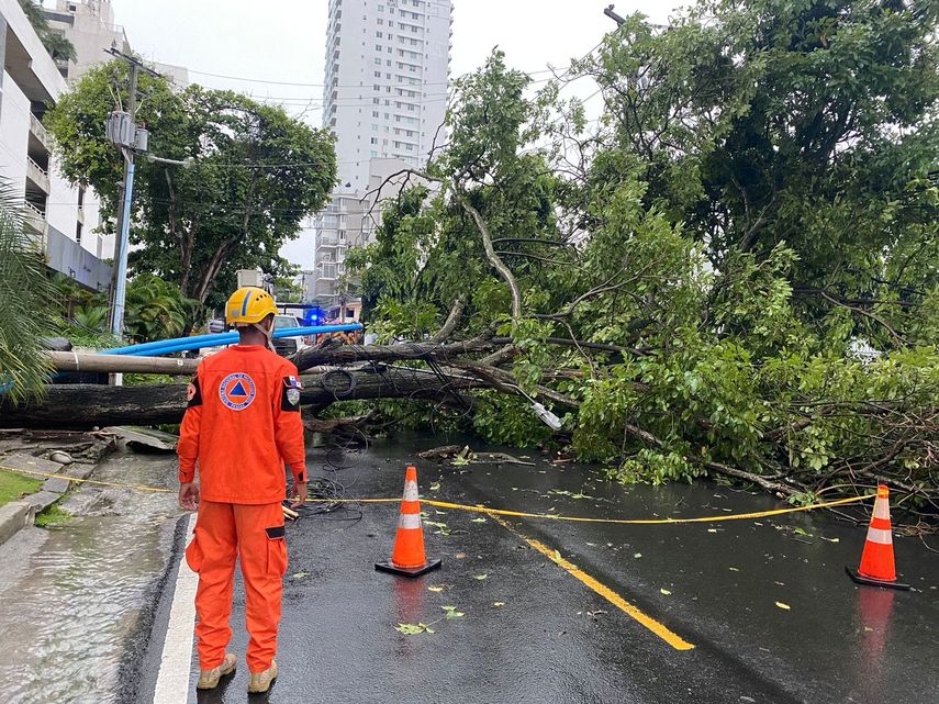 Sinaproc: Lluvia dejó 12 árboles caídos e inundaciones en Panamá