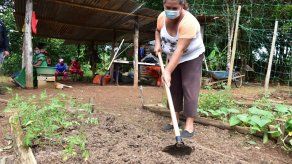 MIDES destaca la participación de la mujer rural durante la pandemia