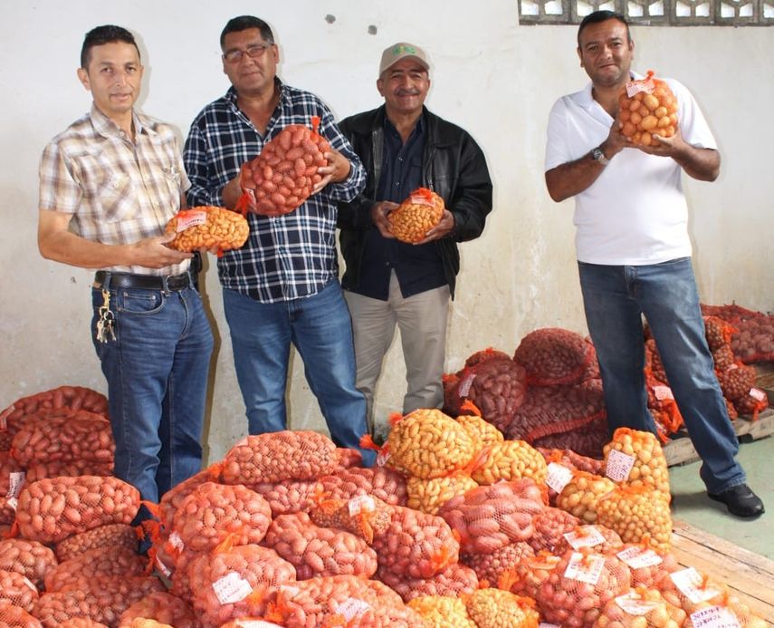Los agricultores de Tierras Altas, solicitaron la ampliación del programa de multiplicación nacional de semilla de papa que desarrolla el IDIAP, para garantizar la tenencia de semilla durante todo el año.