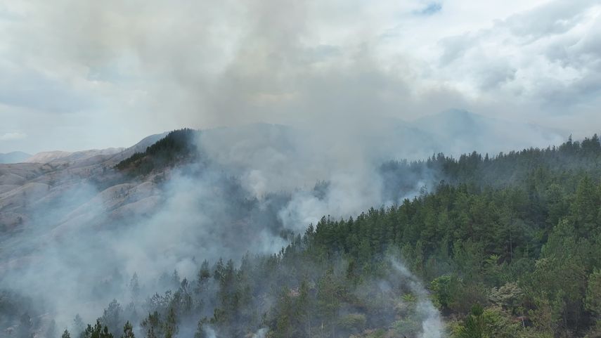 Incendios Forestales afectan áreas de reserva en Veraguas