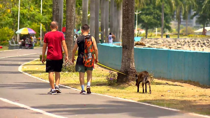 Golpes de calor causados por el Fenómeno de El Niño.