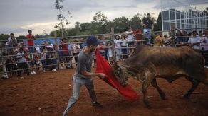 Corridas de toros en el interior de Panamá: cultura