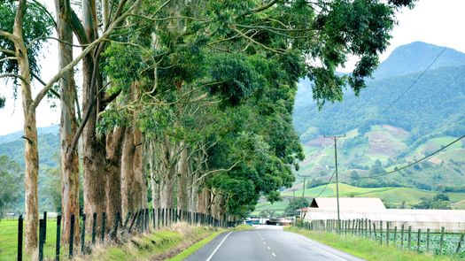 MOP advierte cierres en carretera principal de Cerro Punta hasta febrero de 2024