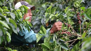Los enfoques tradicionales no bastarán para que los productores se adapten y prosperen a medida que se intensifican los efectos de la crisis climática en la producción de alimento.