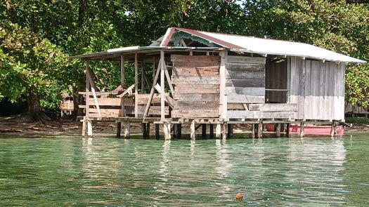 Cierre temporal de Isla Escudo de Veraguas-Degó por destrucción ambiental y afectación a especies endémicas