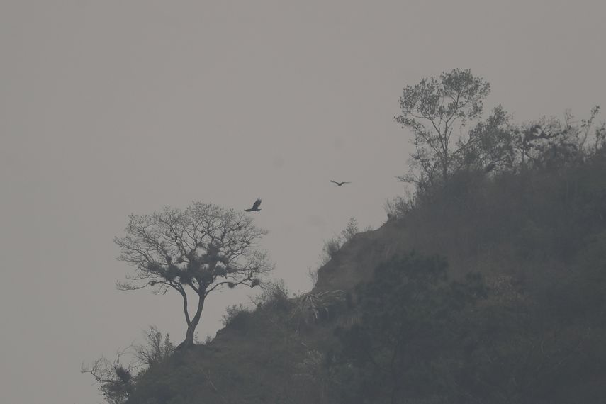 Declaran alerta en 9 departamentos de Honduras por contaminación ambiental Declaran alerta en 9 departamentos de Honduras por contaminación ambiental