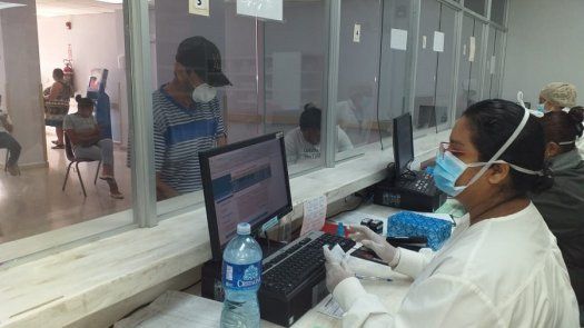 Farmacéuticos promueven uso de plantas medicinales para evitar desabastecimiento