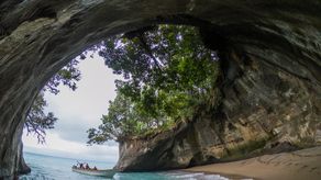 El Ministerio de Ambiente (MiAMBIENTE) oficializó la creación del Grupo de Trabajo para el fortalecimiento de la gestión del Paisaje Protegido Isla Escudo de Veraguas-Degó (PPEV), mediante la Resolución No. DM-0039-2026 de 29 de enero de 2026, publicada en la Gaceta Oficial No. 30462-B.