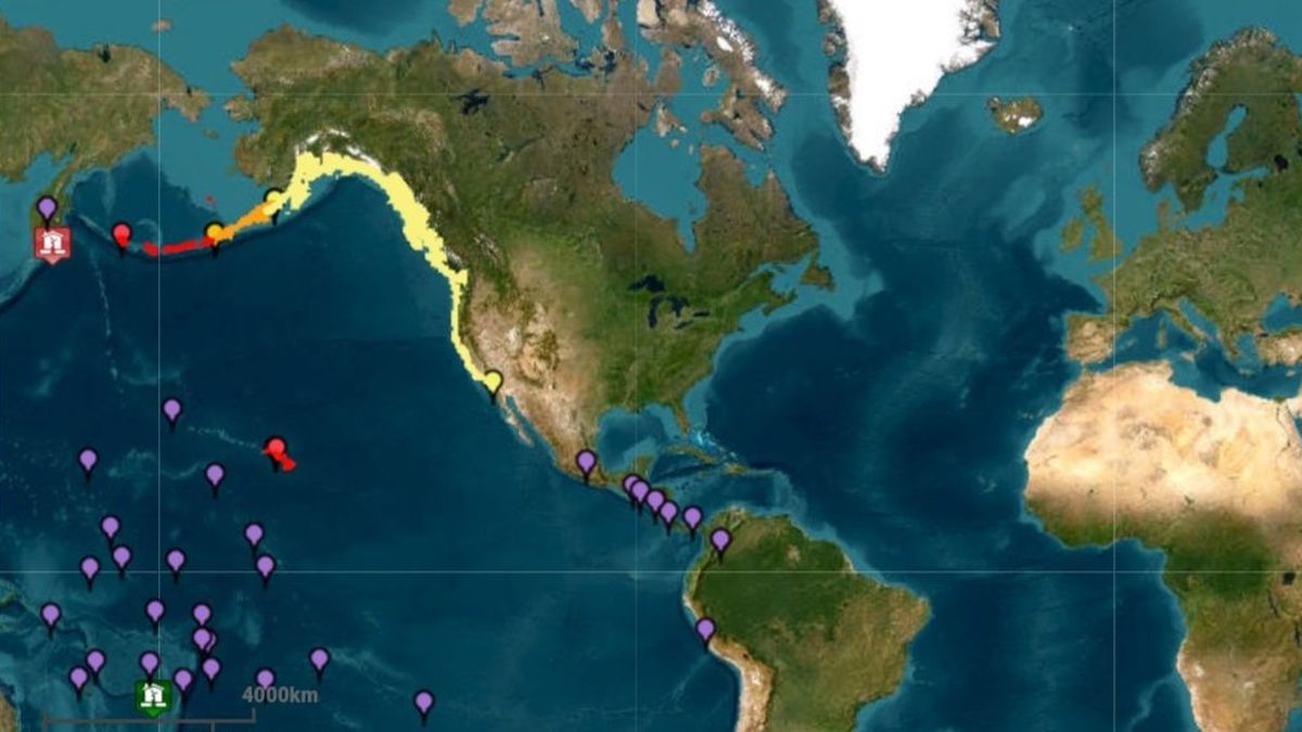 Panamá bajo alerta de tsunami. Autoridades advierten de fuertes oleajes