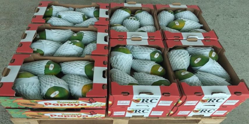Capacitan a exportadores de productos de Chiriquí
