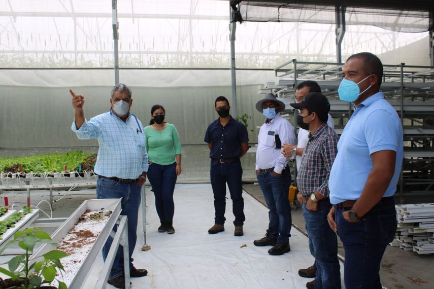 IDIAP y Grupo Janson avanzan en plan de agro