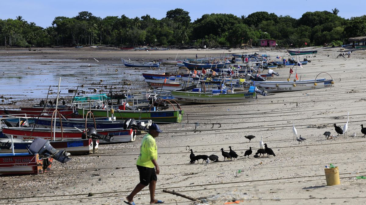 Fenómeno oceánico histórico desaparece en Panamá por primera vez en 40 años