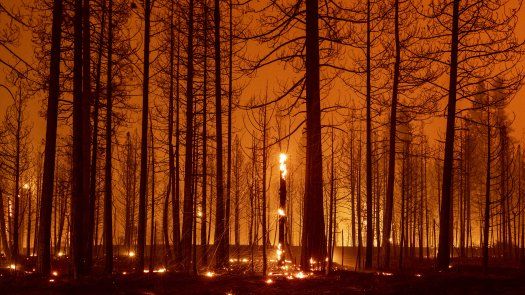 Incendio de California; el segundo peor de la historia