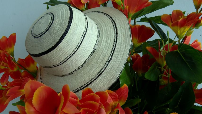 Coclé espera una derrama económica por el Festival Nacional del Sombrero Pintao