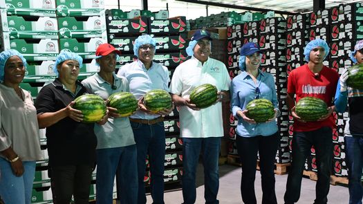 En el marco del inicio de la temporada de agroexportación de cucurbitáceas 2025-2026, el ministro de Desarrollo Agropecuario (MIDA), Roberto Linares, realizó un recorrido por las plantas APSECU para el Mundo S.A., en la comunidad de El Corozo, y Agro Export Pacific S.A., en Potuga, provincia de Herrera, con el objetivo de seguir impulsando la producción nacional y consolidar a Panamá como país exportador. En el marco del inicio de la temporada de agroexportación de cucurbitáceas 2025-2026, el ministro de Desarrollo Agropecuario (MIDA), Roberto Linares, realizó un recorrido por las plantas APSECU para el Mundo S.A., en la comunidad de El Corozo, y Agro Export Pacific S.A., en Potuga, provincia de Herrera, con el objetivo de seguir impulsando la producción nacional y consolidar a Panamá como país exportador.
