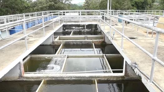 David enfrenta falta de suministro de agua potable