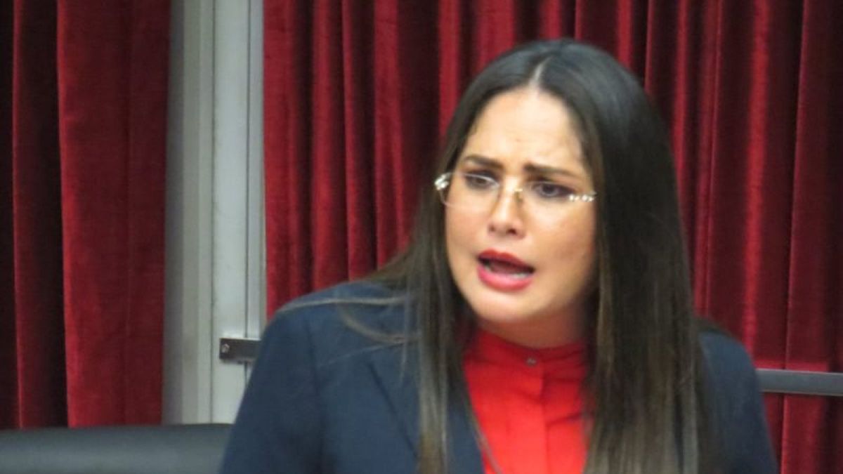 Diputada Zulay Presenta Plan Para Deportar Extranjeros Por Insultar A ...