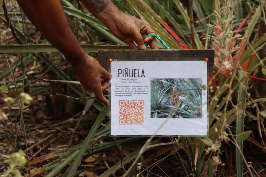 Visitantes podrán identificar a través de códigos QR la flora existente en el Parque Nacional Sarigua.