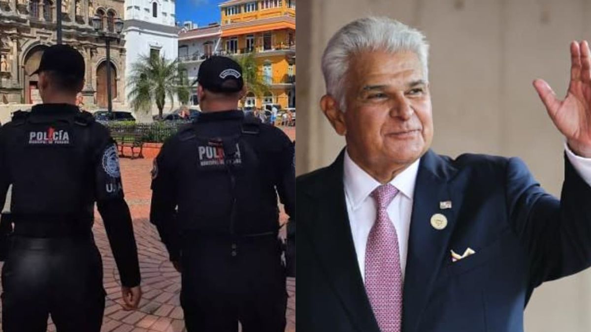 Mulino advierte de la inconstitucionalidad de la figura.
