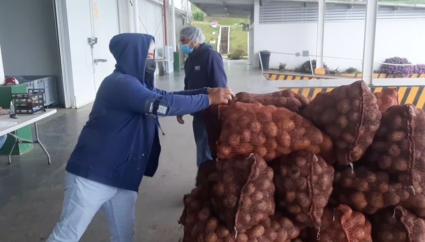 Unos 8 mil quintales de productos de Tierras Altas se mantuvieron dentro del centro post cosecha de la Cadena de Frío en Volcán para ser enviados a Merca Panamá