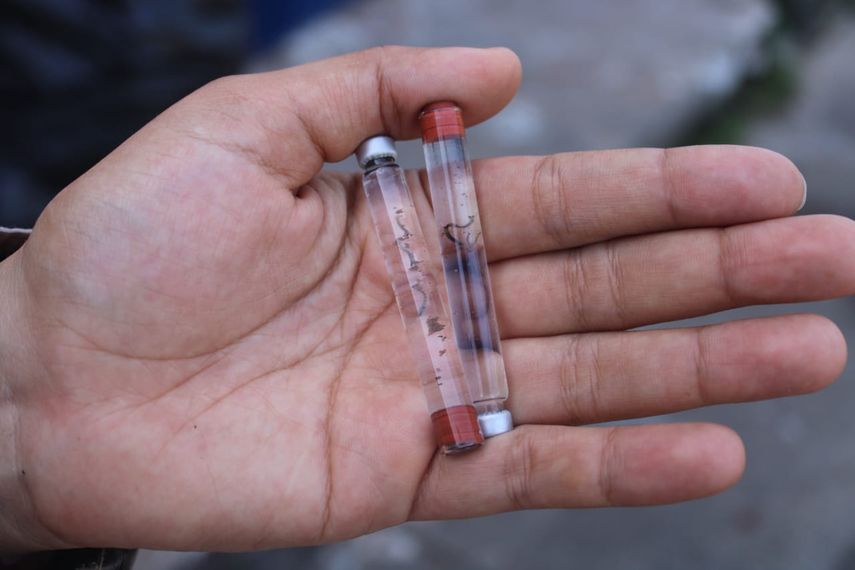 El Ministerio de Salud (Minsa) informó que hasta la semana epidemiológica No. 11