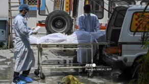 Calcular el número de muertos por covid