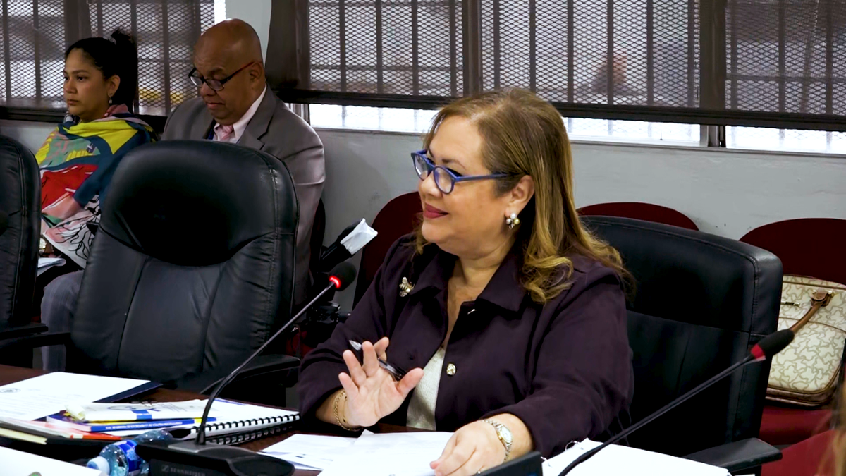 La directora de la Antai, Sheyla Castillo. La directora de la Antai, Sheyla Castillo.