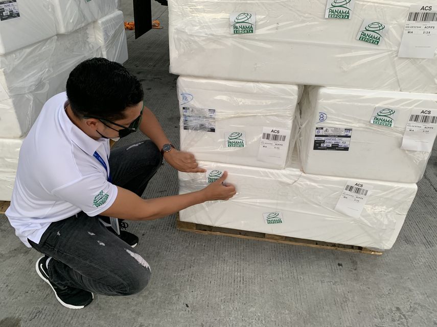 Nuevo exportador panameño coloca 3 mil libras de pescado en Florida. Foto:&nbsp;www.mici.gob.pa