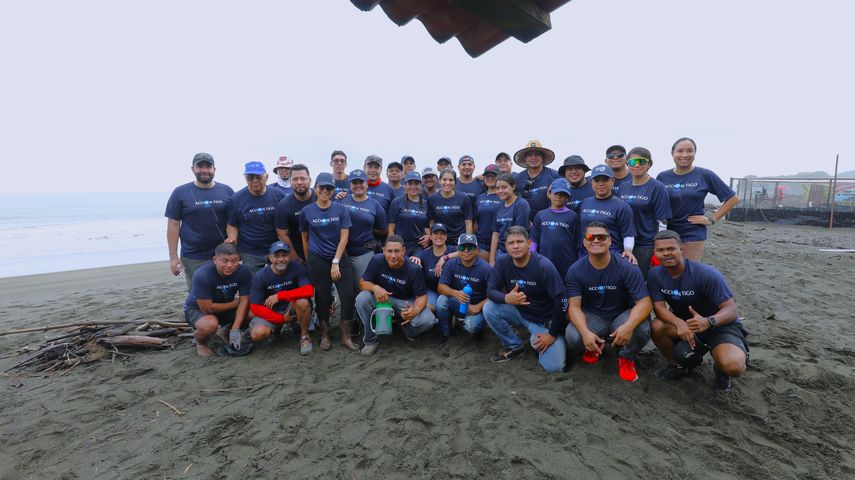 Tigo Panamá celebra Mes de los Océanos con liberación de Tortugas en Playa Malena