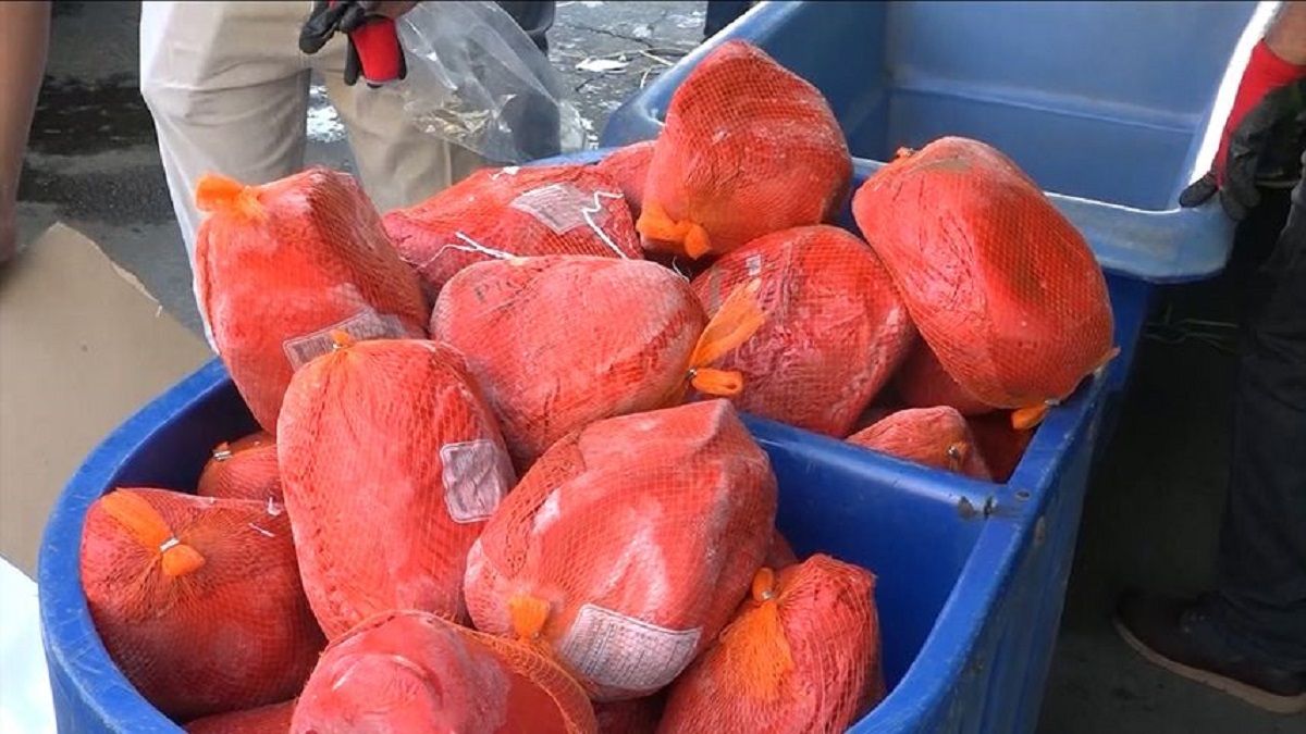 Panamá importará un volumen adicional máximo de 1,500 toneladas métricas de jamón. Panamá importará un volumen adicional máximo de 1,500 toneladas métricas de jamón.