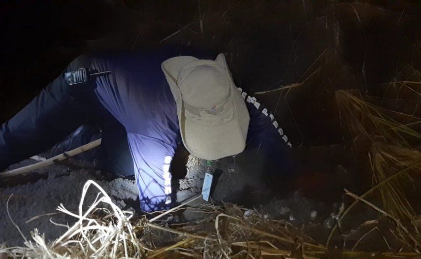 Liberación de neonatos de tortuga en Playa La Barqueta