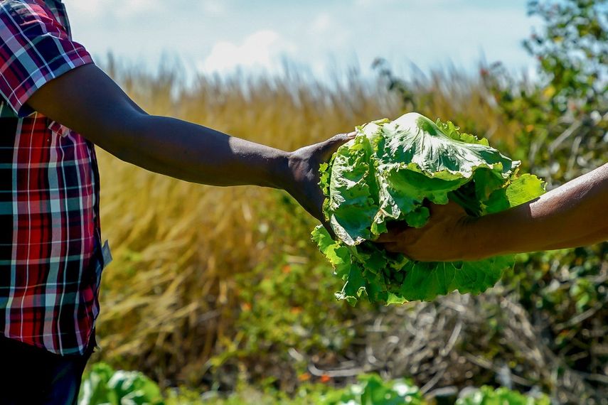 Productores optimistas tras reunión con el Ejecutivo
