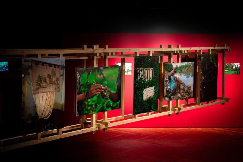 Museo del Canal de Panamá inaugura exposición temporal El jardín de Mr. Brown