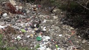 Además de las personas que tiran basura en el propio sitio desde la carretera, también hay muchos desechos que son traídos por quebradas y brazos de los ríos que desembocan hacia la playa en Barú.