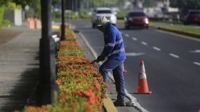 Pese al incremento en la generación de empleos, la tasa de desocupados sigue siendo alta, según cifras del INEC.