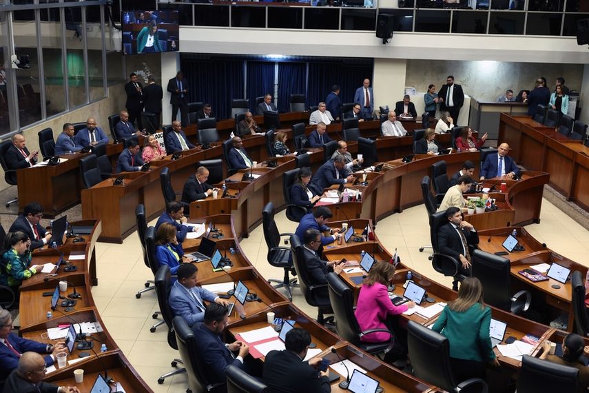 Shirley Castañedas señala como prioridad el reglamento interno de la Asamblea