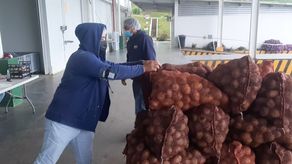 Unos 8 mil quintales de productos de Tierras Altas se mantuvieron dentro del centro post cosecha de la Cadena de Frío en Volcán para ser enviados a Merca Panamá, entre otros puntos.