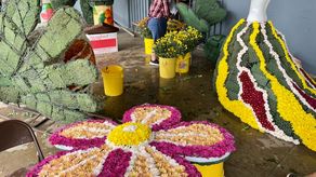 Los organizadores de la Parada de las Flores en Tierras Altas, esperan a los más de 150 mil visitantes que ayudarán a reactivar el turismo en la zona.